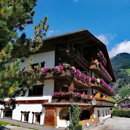 Haus Waldesruh Lejlighed Neustift im Stubaital Eksteriør billede