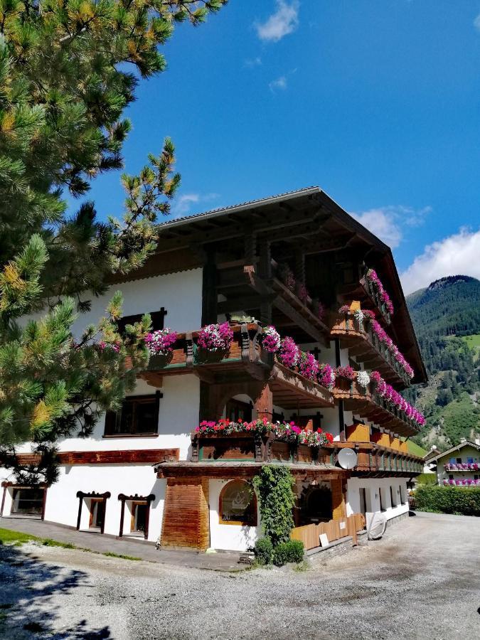 Haus Waldesruh Lejlighed Neustift im Stubaital Eksteriør billede