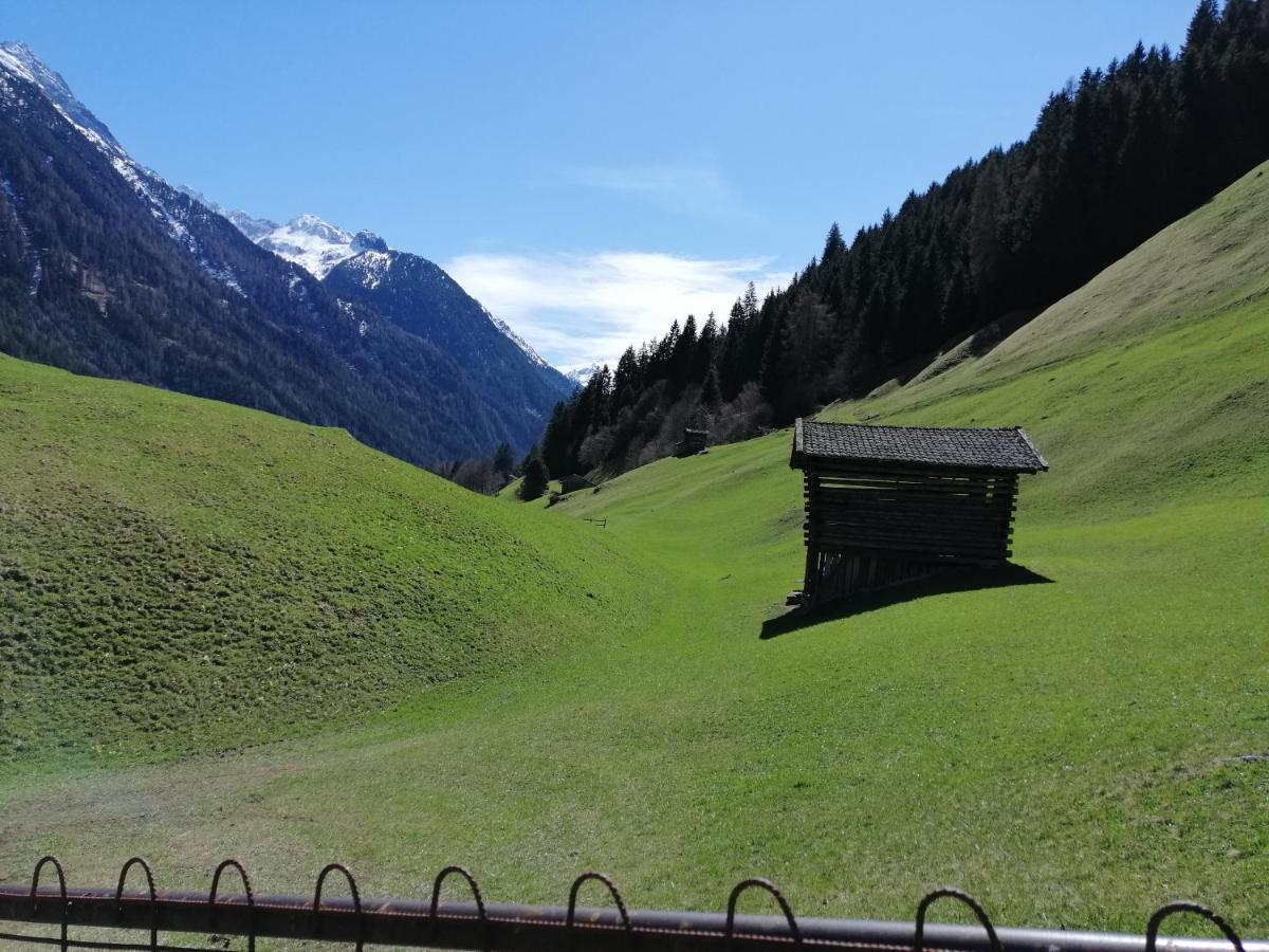 Haus Waldesruh Lejlighed Neustift im Stubaital Eksteriør billede