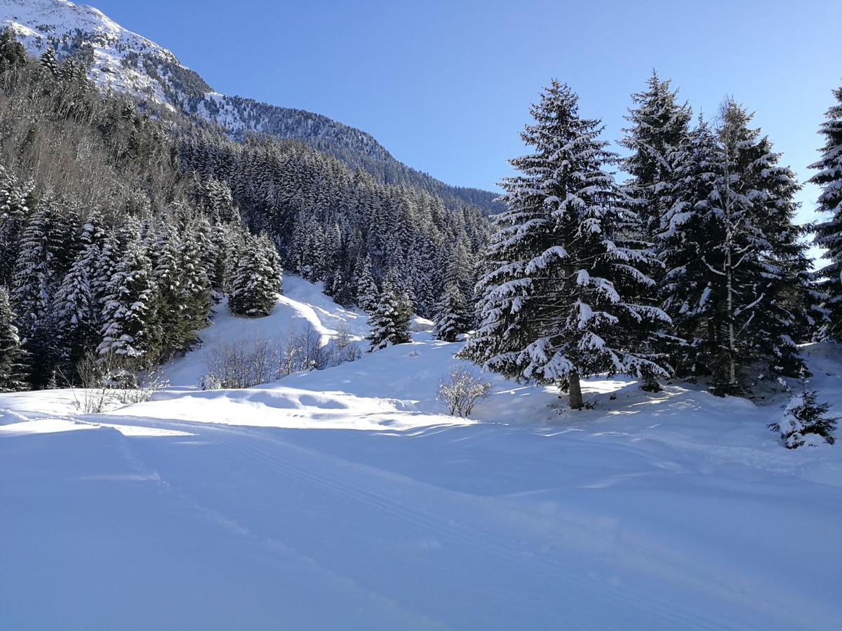 Haus Waldesruh Lejlighed Neustift im Stubaital Eksteriør billede