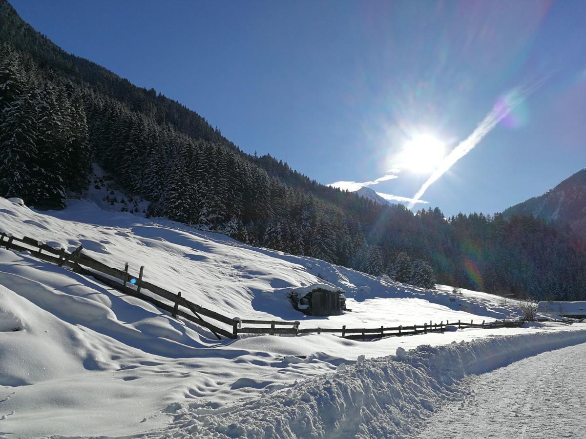 Haus Waldesruh Lejlighed Neustift im Stubaital Eksteriør billede