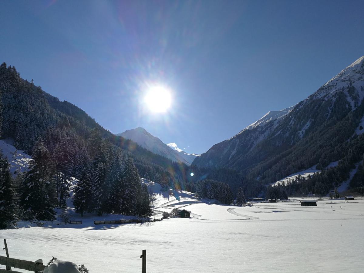 Haus Waldesruh Lejlighed Neustift im Stubaital Eksteriør billede