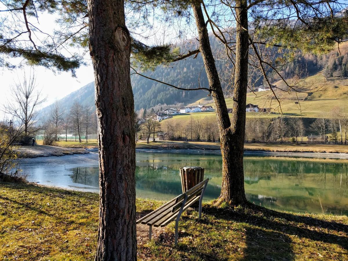 Haus Waldesruh Lejlighed Neustift im Stubaital Eksteriør billede