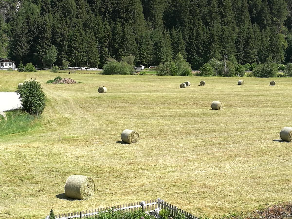 Haus Waldesruh Lejlighed Neustift im Stubaital Eksteriør billede